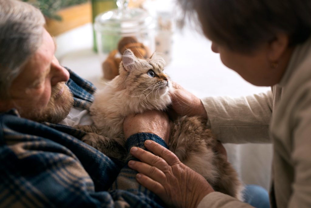 felinoterapia